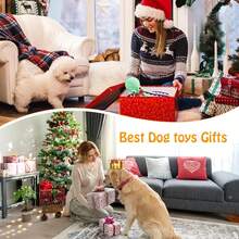 会发出吱吱声的狗狗玩具 - 毛绒小狗玩具，柔软面料，适合小型、中型和大型犬，可作为日常陪伴和训练奖励。 - 彩色 - 查看 4