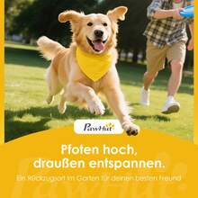 PawHut Hundewagen Hundebuggy Faltbar Katzenwagen bis 10kg mit Regenschutz Reflektorstreifen Aufbewahrungskorb waschbar Kissen Netzfenstern Getränkehaltern Räder mit Bremse für kleine Hunde Blau - Blau - Übersicht 9
