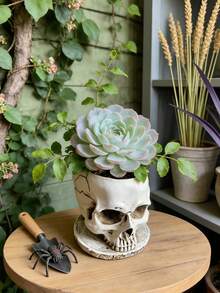 1个独一无二的骷髅头花盆——用这款别致的骷髅头花盆升级您的室内花园或桌面摆设！非常适合种植多肉植物、香草或小型花卉，可完美融入您的卧室床头柜、办公桌或阳台搁架。其引人注目的设计让任何角落都成为话题焦点，将暗黑风格与实用园艺功能完美融合。让您的花盆脱颖而出，提升家居氛围。 - A - 查看 6