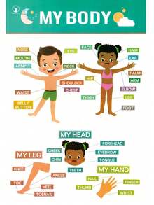 Fun Colorful Educational Posters For Toddlers,Toddler Learning Posters For Kids Ages 1-6, Early Education LearningToys ABC Chart, Numbers, Colors, Days Of The Week, Children Room Homeschool Classroom Decor Kindergarten Classroom Must Haves Supplies - 白色 - 查看 6