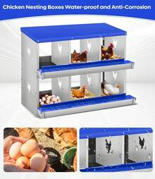 Egg Handling Supplies - 藍色6格隔間 - 查看 4