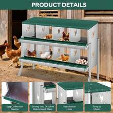 Caja de anidación pollo, caja de anidación metal de, cajas de anidación pollo para colocar huevos, colección fácil de huevos. - Cubículo verde de 8 compartimentos - con marco de soporte - Ver 5