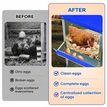 Egg Handling Supplies - 藍色6格隔間-附支架 - 查看 8