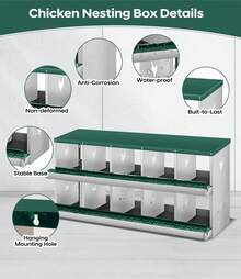 Egg Handling Supplies - Green 10-compartment - View 3