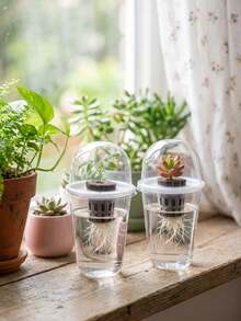 20pcs/4sets - Hydroponic Planting Pots, Transparent Cylindrical Plastic Planting Pots - Hydroponic Planting Set, High Transparency Hydroponic Cups, Transparent For Easy Root Observation, Perforated Design Promotes Aeration To Prevent Root Suffocation, Suitable For Hydroponic Plant Propagation, Can Be Used As Office, Home Or Garden Decor - Multicolor - View 6
