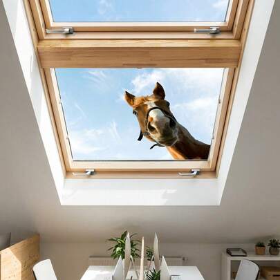1 pièce Autocollants de fenêtre amusants en forme de cheval, autocollants muraux amovibles pour décoration de chambre, entrée, salon, porche et maison