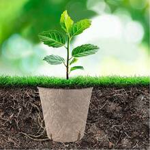 50pcs Seedling Pots, Plant Starter Cups With Drainage Holes, Garden Sprouting Nursery Pots, Suitable For Herbs, Vegetables, Plants - Multicolor - View 6