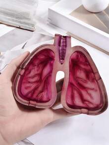 Gạt tàn hình phổi độc đáo, dễ dàng ngăn tro bay, lý tưởng cho người yêu nghệ thuật và người hút thuốc. - 1PC Màu sắc ngẫu nhiên - Xem 7