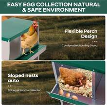Egg Handling Supplies - 綠色6格隔間-帶支架 - 查看 6