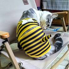 Bộ đồ hóa trang ong dễ thương cho chó cưng, đồ bơi cho chó nhỏ, bộ đồ bơi thoải mái và có thể điều chỉnh cho cún con, trang phục mềm mại cho thú cưng đi biển, hồ bơi. - màu đen - Xem 8