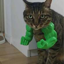 3D Printed Funny Pet Supplies, Neck Muscle Arm, Cat Dog Brush, Cat Clothes, Cat Games, Free Cat Gifts, Cat Toy Gifts, Bird Cage, Cat Clothes, Birds, Cat House, Cat Supplies, Aquarium, Gifts For Cats - Multicolor - View 7