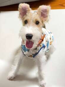 Dog Shirt, Soft Cute Dino Print Dogs T Shirts, Lightweight Doggie Tank Top Cat Clothes, Sleeveless Dog Shirt For Small Dogs, Stretchy Pet Vest - Multicolor - View 8