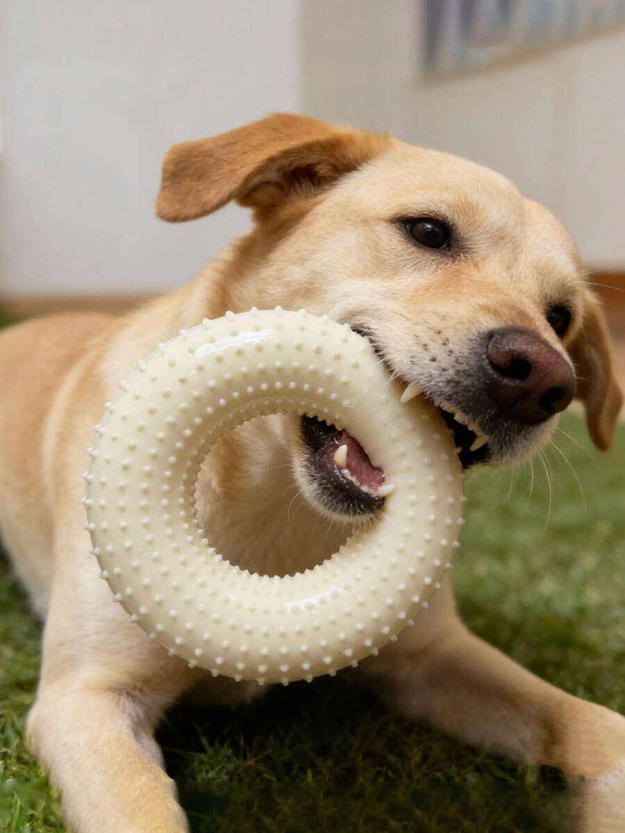 Low Decibel TPR Squeaky Donut Dog Toy, Chew Resistant, Self-Entertaining For Small To Medium Dogs - Multicolor - View 1