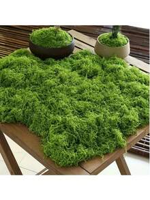 1pc 20g/50g/100g/200g/500g Artificial Moss, Suitable For Home Decor, Fake Moss Micro Landscape Arrangement, Lawn, Potted Plants - Multicolor - View 1