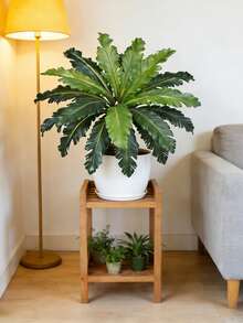 Cây dương xỉ nhân tạo 45-50cm, lá dương xỉ Ba Tư giả, lá dương xỉ nhiệt đới Boston, bó lá cọ nhựa, cỏ giả sống động như thật, dùng trang trí nhà cửa, sân vườn, trong nhà, ngoài trời, đám cưới (không kèm chậu), 1 cây. - màu xanh lá - Xem 7