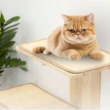 Trụ cào móng cho mèo treo tường 2 tầng bằng sợi sisal có chỗ đậu, giá đỡ cây leo bằng gỗ nổi cho mèo. - Màu be - Xem 5