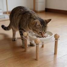 1pc Pet Ceramic Raised Bowl With Acrylic Stand, Anti-Spill Sturdy Base, High-Temperature Fired Ceramic, Easy To Clean, For Cats And Dogs - 150ml - View 5