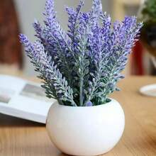 Set de Semillas de Lavanda para Cultivar Flores - 600 piezas - Ver 8