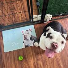 Customized Waterproof Anti-Slip Pet Food Mat, Personalized With Pet's Photo And Name - Multicolor - View 2