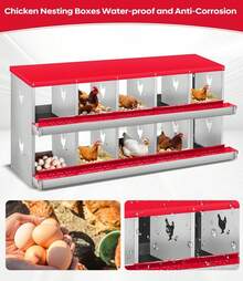 Egg Handling Supplies - Red 10-compartment - View 3