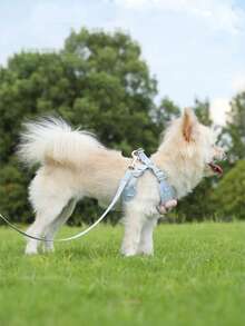 1,2 m Ensemble de laisse réglable pour chien de compagnie, convient aux petits chiens comme le bouledogue français, le chihuahua pour la promenade en extérieur - Bleu azur - Voir 5