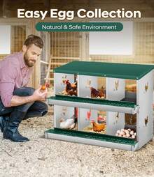 Egg Handling Supplies - 綠色6格隔間 - 查看 3