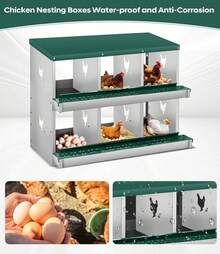 Egg Handling Supplies - 綠色6格隔間 - 查看 6