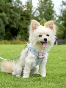 1,2 m Ensemble de laisse réglable pour chien de compagnie, convient aux petits chiens comme le bouledogue français, le chihuahua pour la promenade en extérieur - Bleu azur - Voir 7