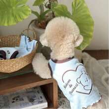 Pet Summer Vest, Cooling, , Polyester, Luxury Elegant, Customized, Cute Heart Embroidery, Suitable For Dogs And Cats - Multicolor - View 5