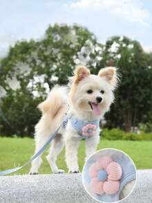 1,2 m Ensemble de laisse réglable pour chien de compagnie, convient aux petits chiens comme le bouledogue français, le chihuahua pour la promenade en extérieur - Bleu azur - Voir 4
