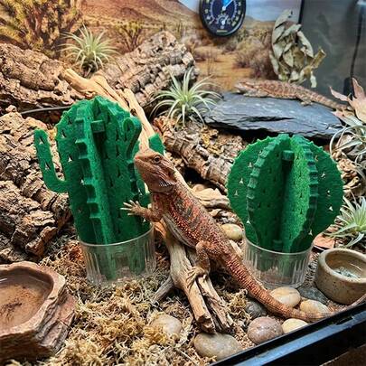 1pc Cactus Shaped Reptile Humidifier, Natural Evaporation No Mist, Plug-Free Physical Humidification, Suitable For Turtles, Lizards, Snakes And Other Reptiles, Suitable For Tortoise Habitat Landscaping