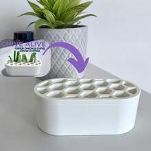 1 Set No-Skill Green Onion Regrowth Planting Kit, Easily Grow Green Onions At Home, Suitable For Balcony, Windowsill And Small Spaces, Green Onions Regrow Quickly - Multicolor - View 4