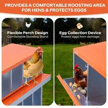 Egg Handling Supplies - Orange 10-compartment Booth - With Support Frame - View 7