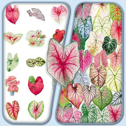 50pcs Transparent Floral & Leaf Decorative Stickers, Colorful Alocasia Plant Creative Envelope Wall Vase Decals
