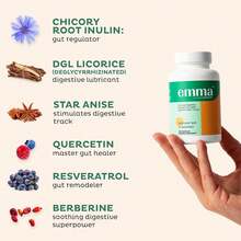Digestive Wellness Supplement With Magnesium, Berberine, Vitamin D & Quercetin | Gut Microbiome Nutritional Support | Vegan Capsules | 60 Count (1 Bottle) - 1 瓶 - 查看 2