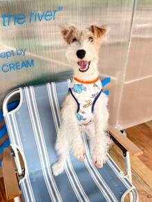 Dog Shirt, Soft Cute Dino Print Dogs T Shirts, Lightweight Doggie Tank Top Cat Clothes, Sleeveless Dog Shirt For Small Dogs, Stretchy Pet Vest - Multicolor - View 2