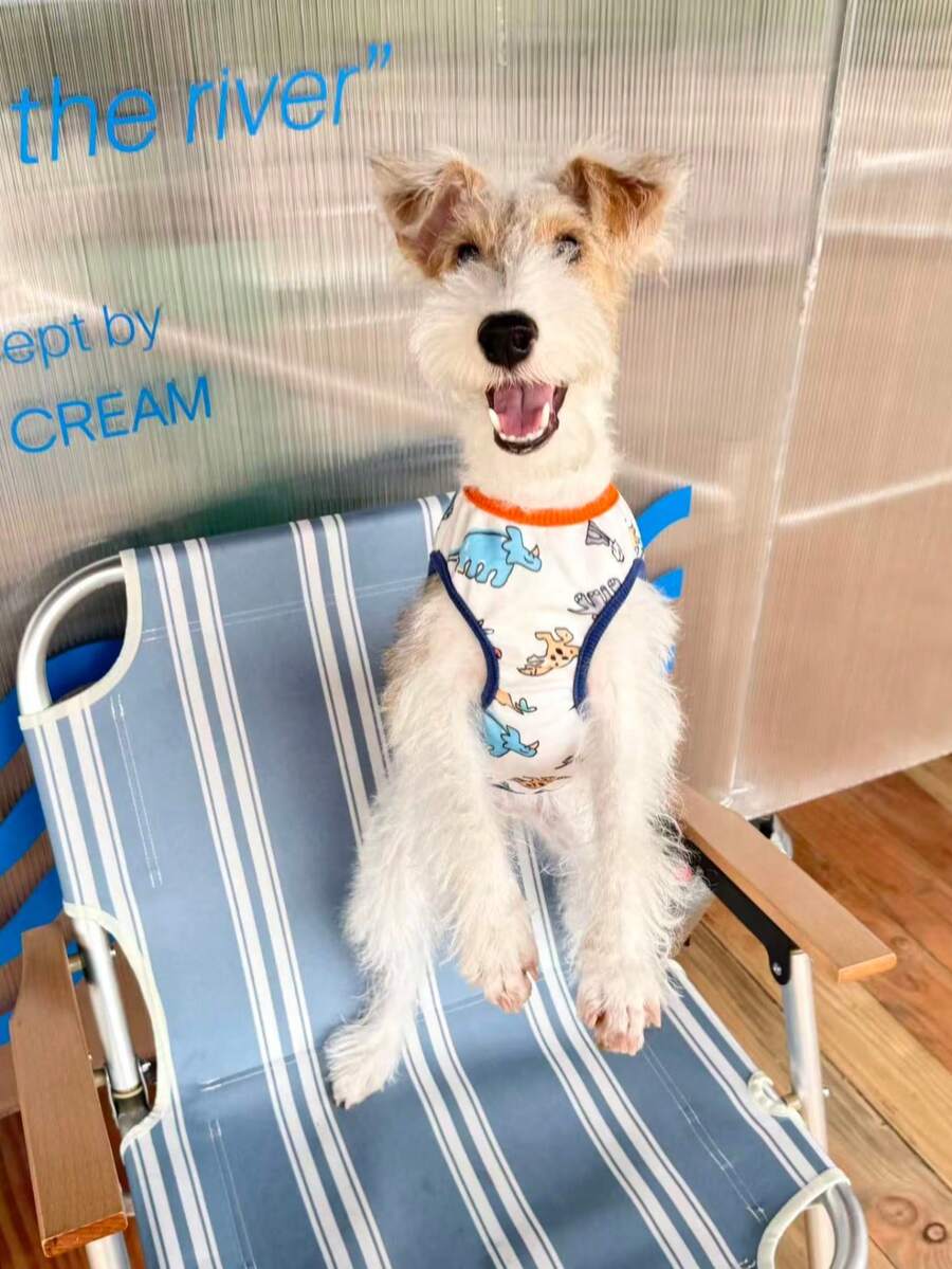 Dog Shirt, Soft Cute Dino Print Dogs T Shirts, Lightweight Doggie Tank Top Cat Clothes, Sleeveless Dog Shirt For Small Dogs, Stretchy Pet Vest