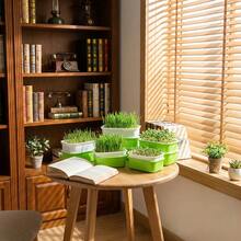 豆芽育苗盘、发芽套装、水培育苗盘、幼苗种植盘、微型蔬菜种植盘、小麦草育苗盘、豆芽发芽盘、无土栽培盘、家用种植系统、阳台种植盆、桌面园艺套装、蔬菜育苗盆、双层排水种植盆、大容量发芽工具、家用水培系统、带网格盖的育苗盘、绿豆芽容器、室内园艺用品 - Bean Sprout Tray - 查看 5