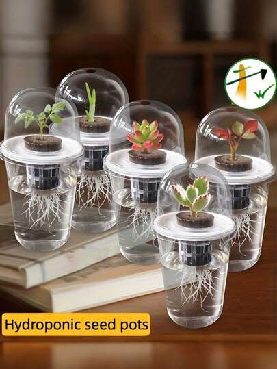 20pcs/4sets - Hydroponic Planting Pots, Transparent Cylindrical Plastic Planting Pots - Hydroponic Planting Set, High Transparency Hydroponic Cups, Transparent Easy To Observe Root Growth, Small Hole Design For Ventilation To Prevent Root Suffocation, Suitable For Hydroponics Plant Propagation, Office Home Garden Decor