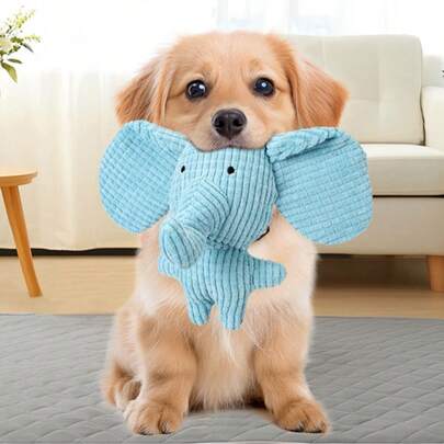 Một món đồ chơi phát ra tiếng kêu cho thú cưng, hình con voi hoặc con vịt, giúp giảm buồn chán, hỗ trợ mọc răng, rất cần thiết cho cún con.