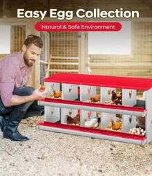 Egg Handling Supplies - Red 10-compartment - View 5