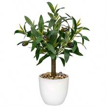 Olivo artificial de 15 pulgadas plantas pequeñas de olivo sintético con maceta blanca para el hogar recámara mesa oficina hotel decoración de Briful - Plantas de Oliva - Ver 1