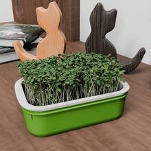 豆芽育苗盘、发芽套装、水培育苗盘、幼苗种植盘、微型蔬菜种植盘、小麦草育苗盘、豆芽发芽盘、无土栽培盘、家用种植系统、阳台种植盆、桌面园艺套装、蔬菜育苗盆、双层排水种植盆、大容量发芽工具、家用水培系统、带网格盖的育苗盘、绿豆芽容器、室内园艺用品 - Bean Sprout Tray - 查看 10