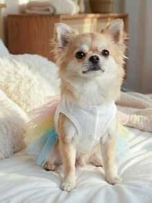 1件宠物服装，可爱浪漫兔子薄纱连衣裙，适合小型犬猫，复活节彩虹兔子服装系列 - 彩色 - 查看 4