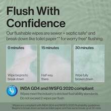 Hypoallergenic Flushable Wipes For Sensitive Skin Gilded Wings 42 Count - Förgyllda vingar - Visa 4