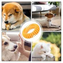 Đồ chơi ngậm miệng cho chó con, đồ chơi vòng cao su cho chó con, đồ chơi kêu chíp chíp cho chó, bóng kêu chíp chíp cho chó, đồ chơi ném cho chó, đồ chơi cao su cho chó con, đồ chơi gặm có gai cho chó, đồ chơi thú cưng cho chó nhỏ và vừa, đồ chơi cho chó con - Nhiều màu - Xem 2