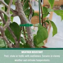 1/10/50/100/300pcs Reusable Adjustable Non-Slip Nylon Plant Ties, Green - Ideal For Climbing Plants, Support And Garden Maintenance | And Easy-To-Use Gardening Tool - A - View 7