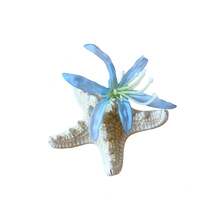 Diamond-Studded Fabric Starfish And Flower Side Clip, Hairpin For Beach Travel Photography, Niche Exquisite Hair Accessory For Women, Versatile Design - Kẹp tóc - màu hồng - Xem 2