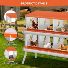 Egg Handling Supplies - Orange 10-compartment Booth - With Support Frame - View 6