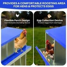 Egg Handling Supplies - Blue 10-compartment Booth - With Support Frame - View 4